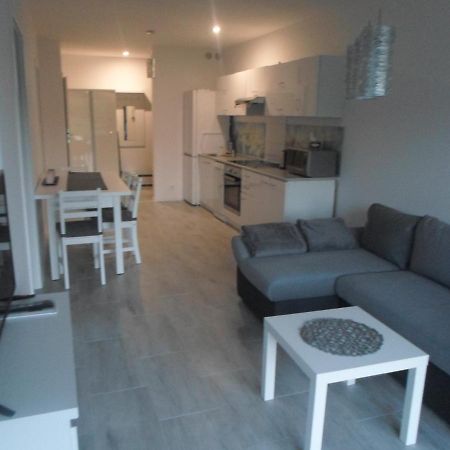 Appartement Apartament Szklarka W Karkonoszach à Szklarska Poreba Extérieur photo